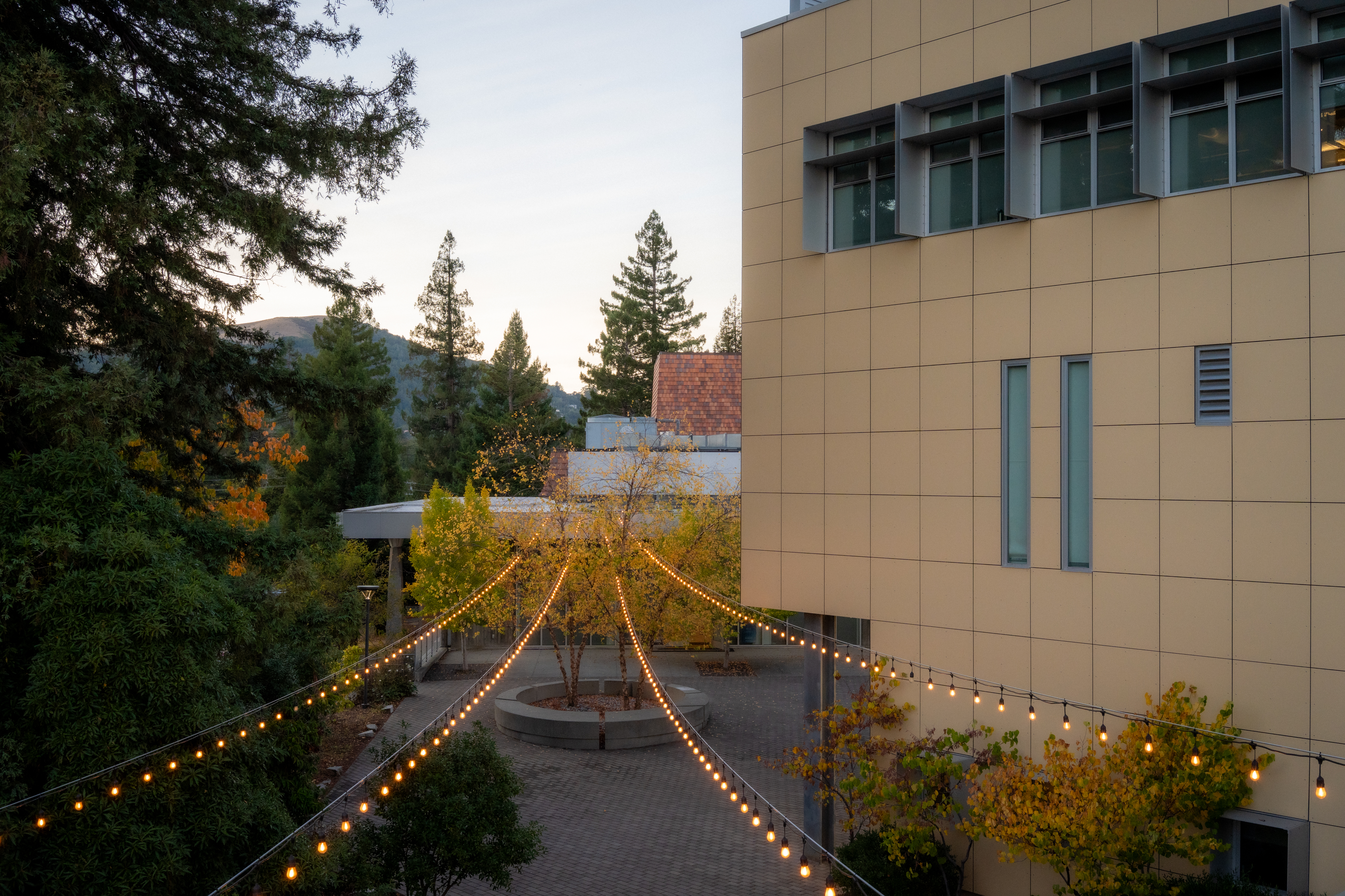 College of Marin Fine Arts Building