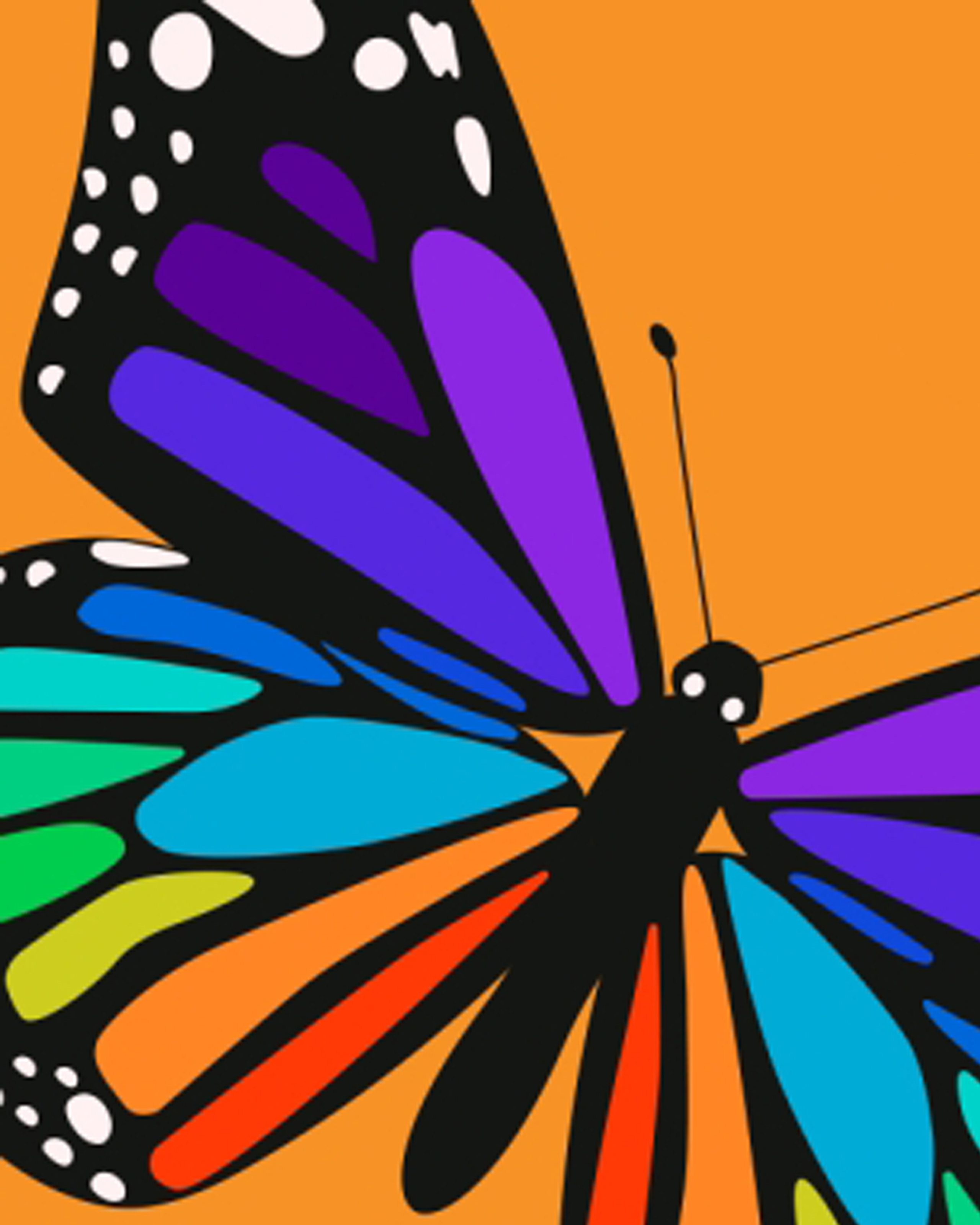 Colorful butterfly illustration with rainbow wings on an orange background.